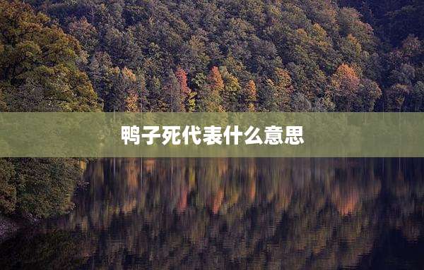鸭子死代表什么意思