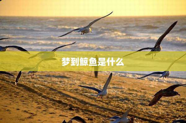 梦到鲸鱼是什么