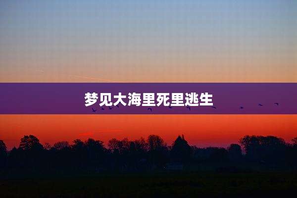 梦见大海里死里逃生