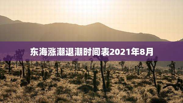东海涨潮退潮时间表2021年8月