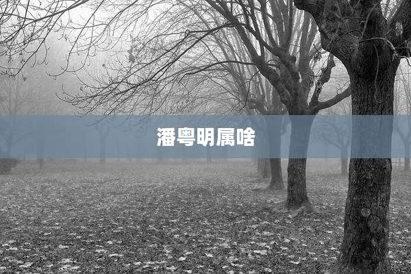 潘粤明属啥