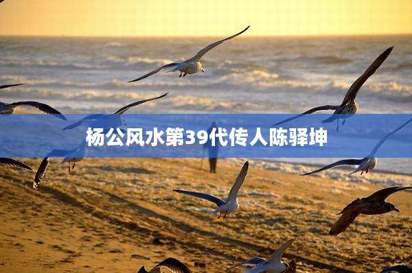 杨公风水第39代传人陈驿坤