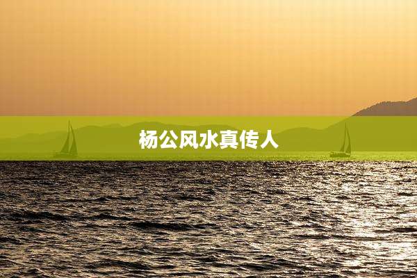 杨公风水真传人