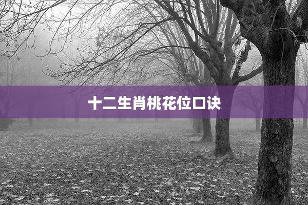 十二生肖桃花位口诀
