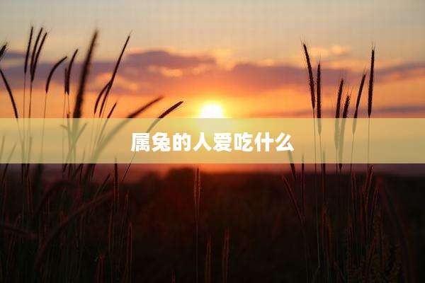 属兔的人爱吃什么