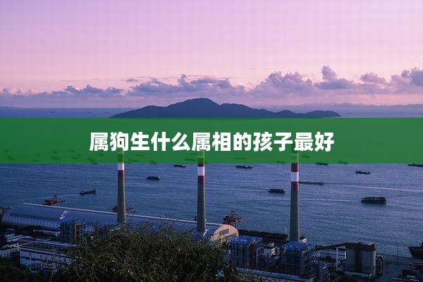 属狗生什么属相的孩子最好