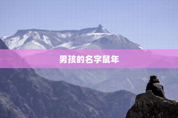 男孩的名字鼠年