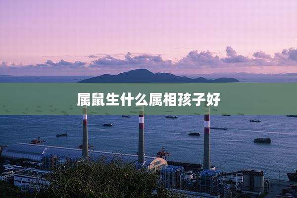 属鼠生什么属相孩子好