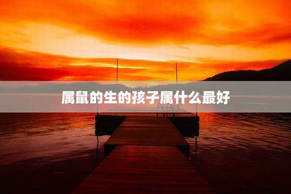 属鼠的生的孩子属什么最好