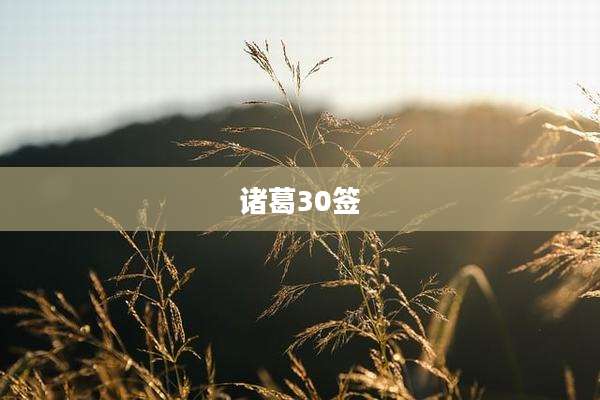 诸葛30签