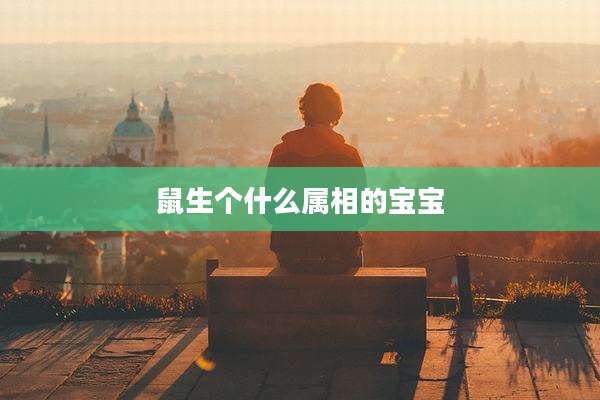 鼠生个什么属相的宝宝