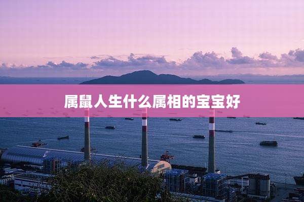 属鼠人生什么属相的宝宝好