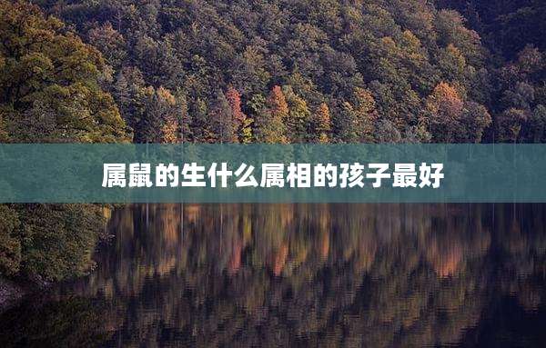 属鼠的生什么属相的孩子最好