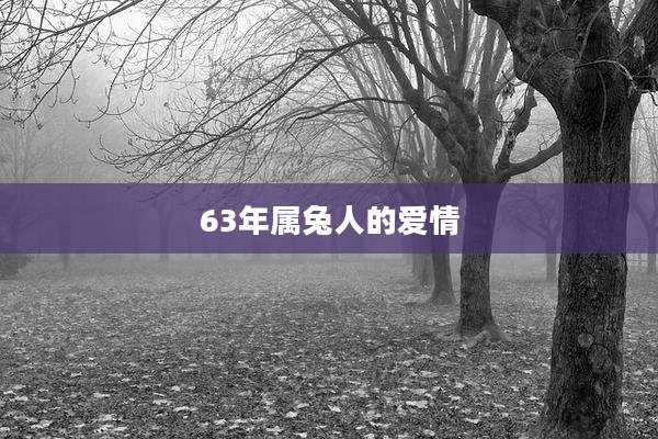 63年属兔人的爱情