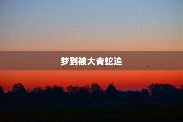 梦到被大青蛇追