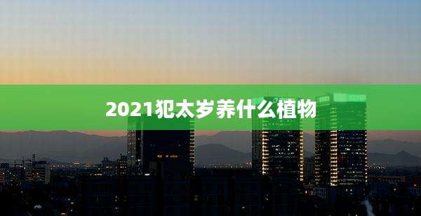 2021犯太岁养什么植物