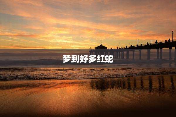 梦到好多红蛇