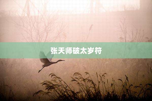 张天师破太岁符