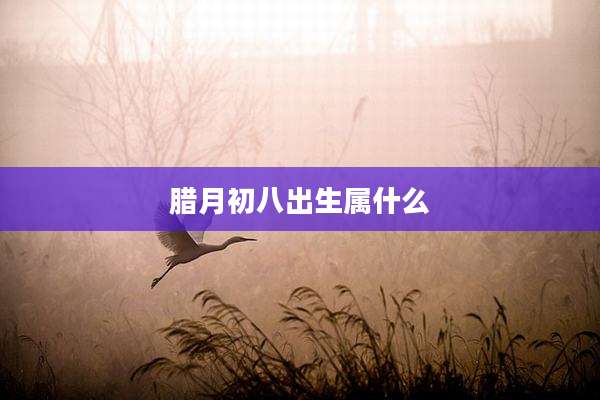 腊月初八出生属什么