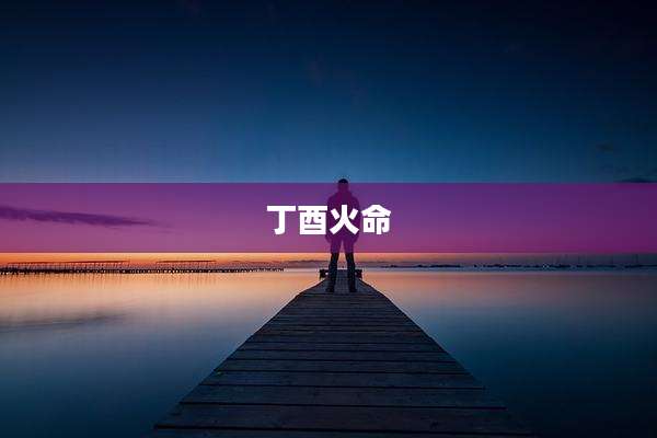丁酉火命