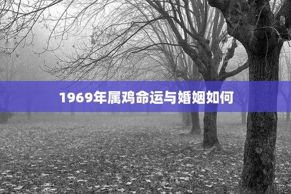 1969年属鸡命运与婚姻如何