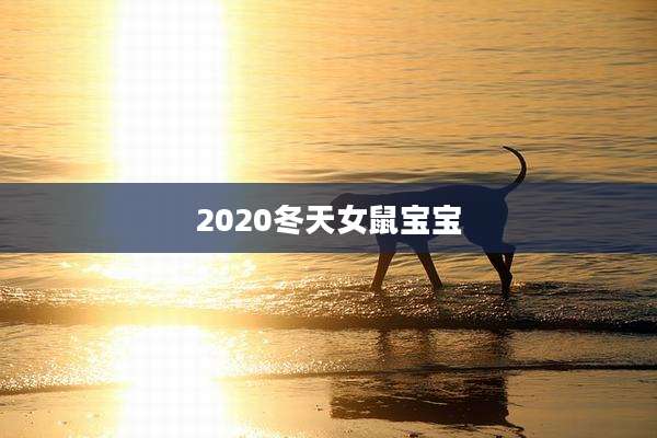 2020冬天女鼠宝宝