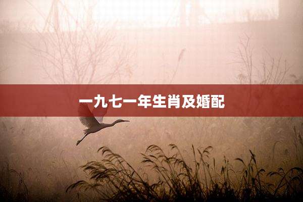 一九七一年生肖及婚配