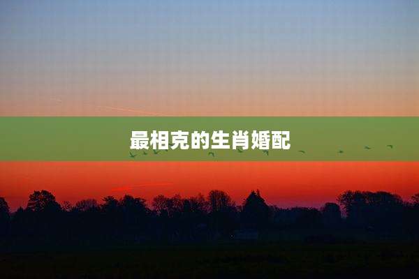 最相克的生肖婚配