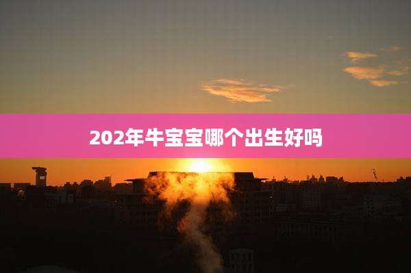 202年牛宝宝哪个出生好吗