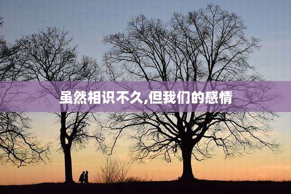 虽然相识不久,但我们的感情
