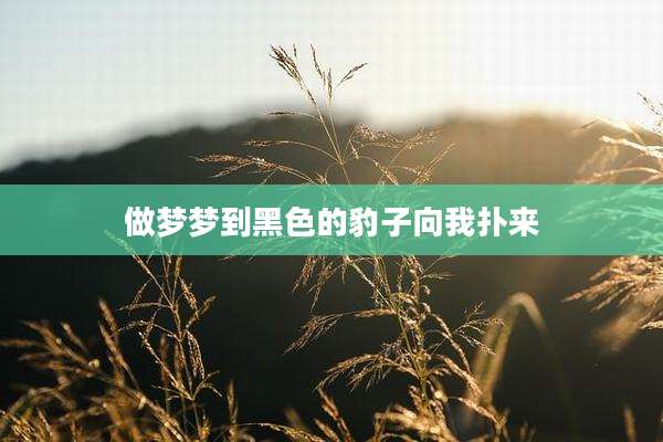 做梦梦到黑色的豹子向我扑来