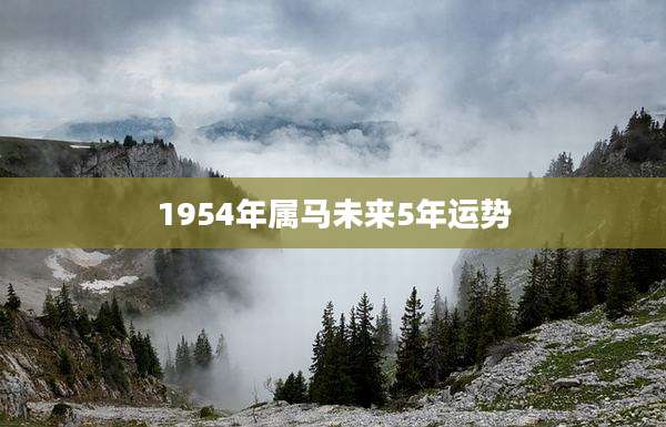 1954年属马未来5年运势