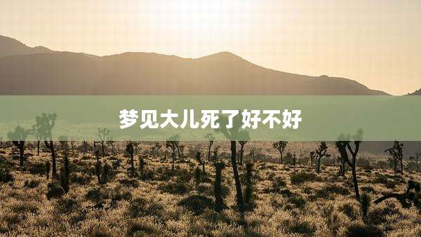 梦见大儿死了好不好