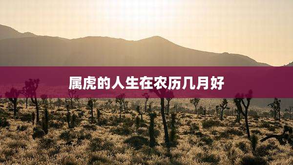 属虎的人生在农历几月好