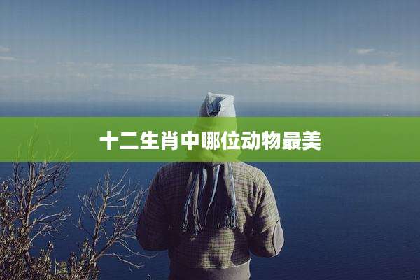 十二生肖中哪位动物最美