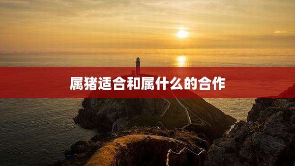 属猪适合和属什么的合作