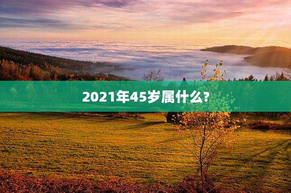 2021年45岁属什么?