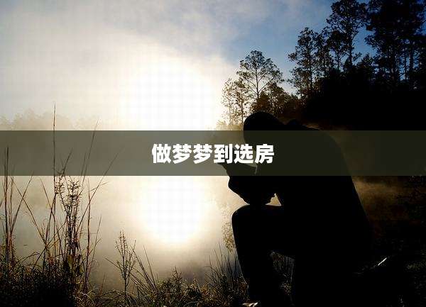 做梦梦到选房