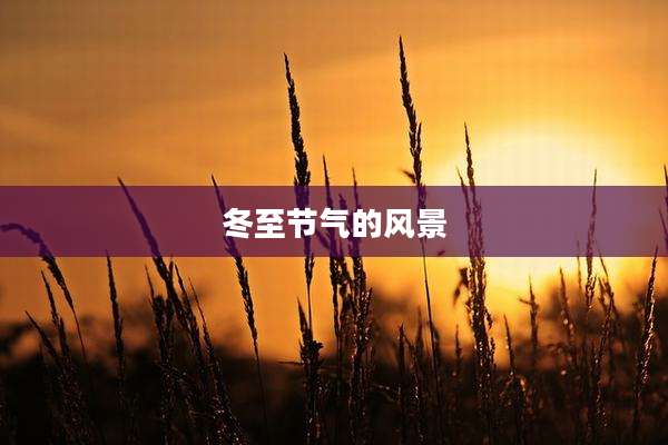 冬至节气的风景