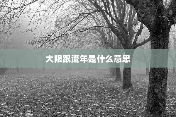 大限跟流年是什么意思