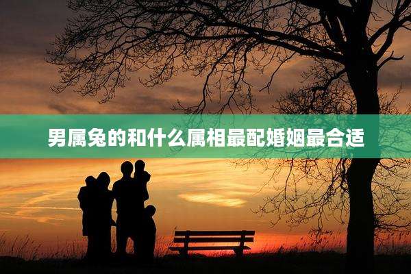 男属兔的和什么属相最配婚姻最合适