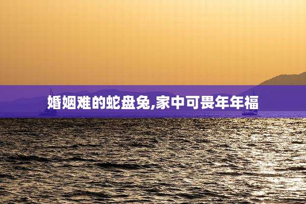 婚姻难的蛇盘兔,家中可畏年年福