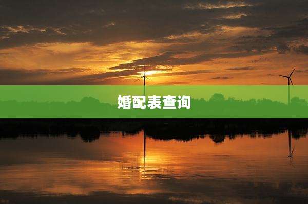婚配表查询