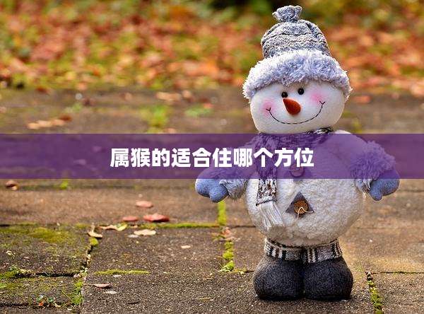 属猴的适合住哪个方位