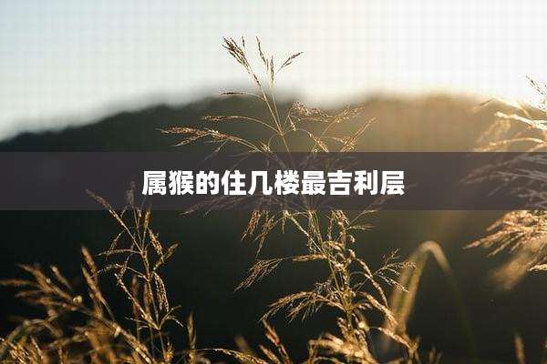 属猴的住几楼最吉利层