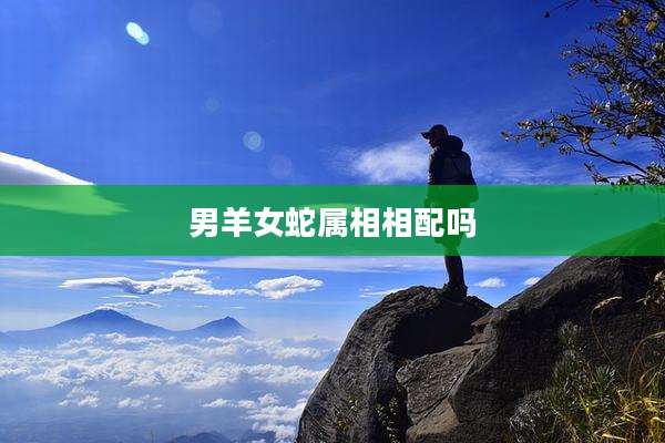 男羊女蛇属相相配吗