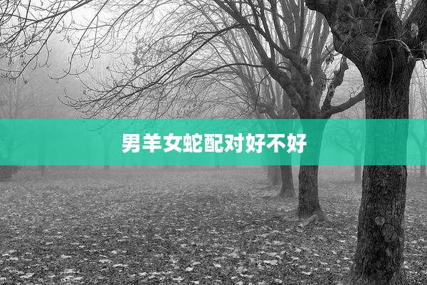 男羊女蛇配对好不好