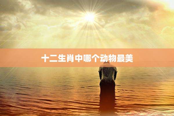 十二生肖中哪个动物最美