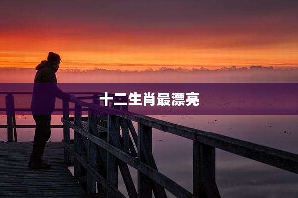 十二生肖最漂亮