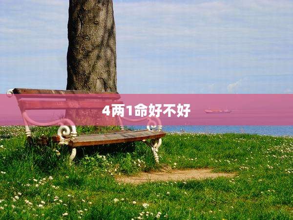 4两1命好不好